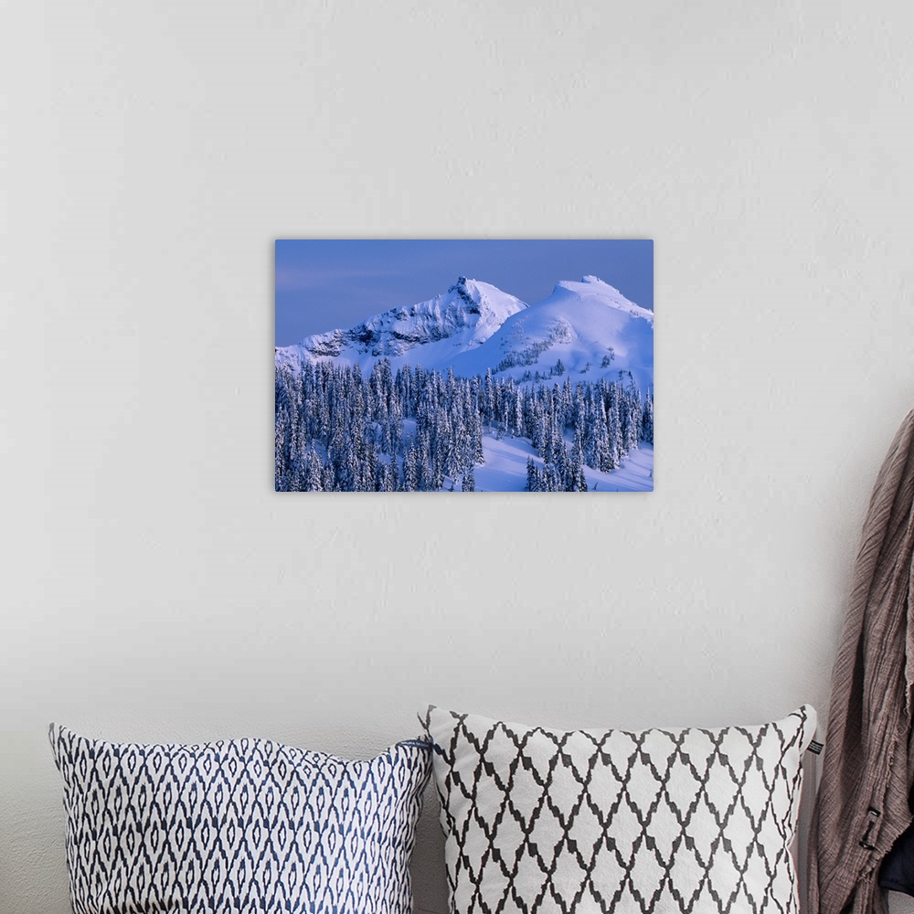 A bohemian room featuring Tatoosh Range and snow covered trees, Mount Rainier National Park, Washington.