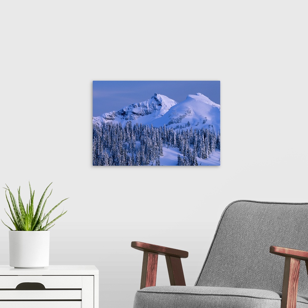 A modern room featuring Tatoosh Range and snow covered trees, Mount Rainier National Park, Washington.