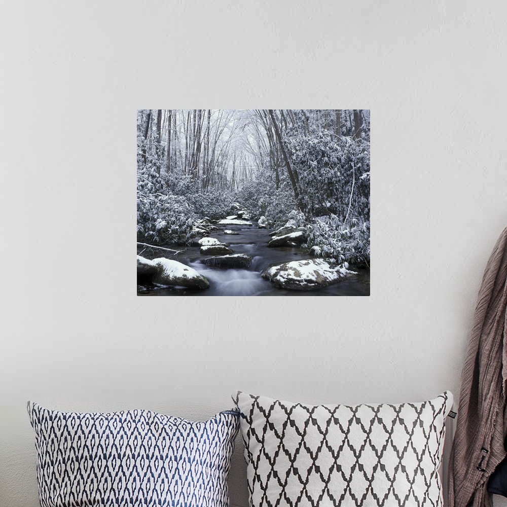 A bohemian room featuring Tennessee, Great Smokey Mountains National Park, Cosby creek in winter.