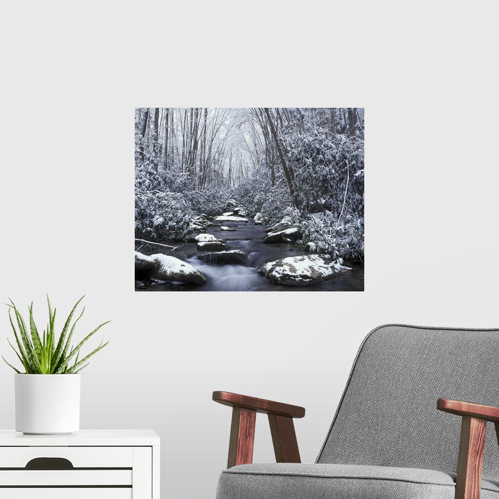 A modern room featuring Tennessee, Great Smokey Mountains National Park, Cosby creek in winter.