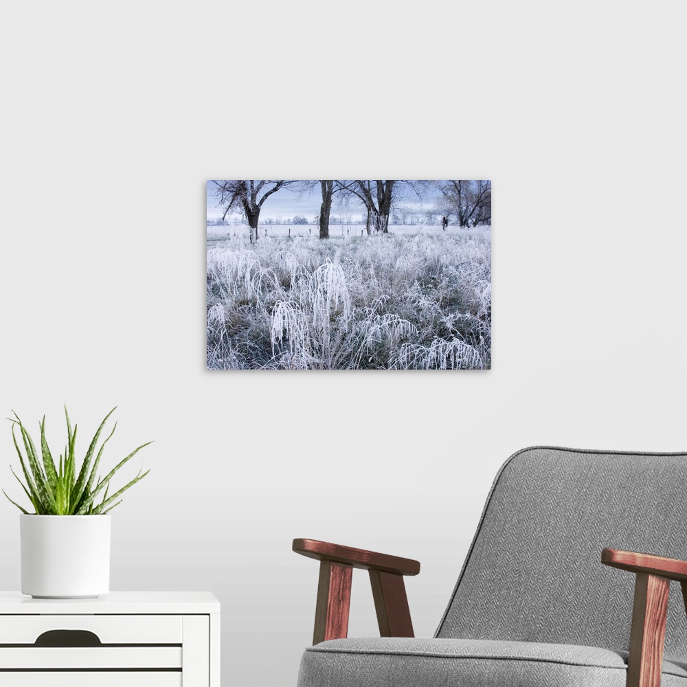 A modern room featuring Tennessee, Great Smoky Mountain National Park, Early morning frost in Cades Coves.