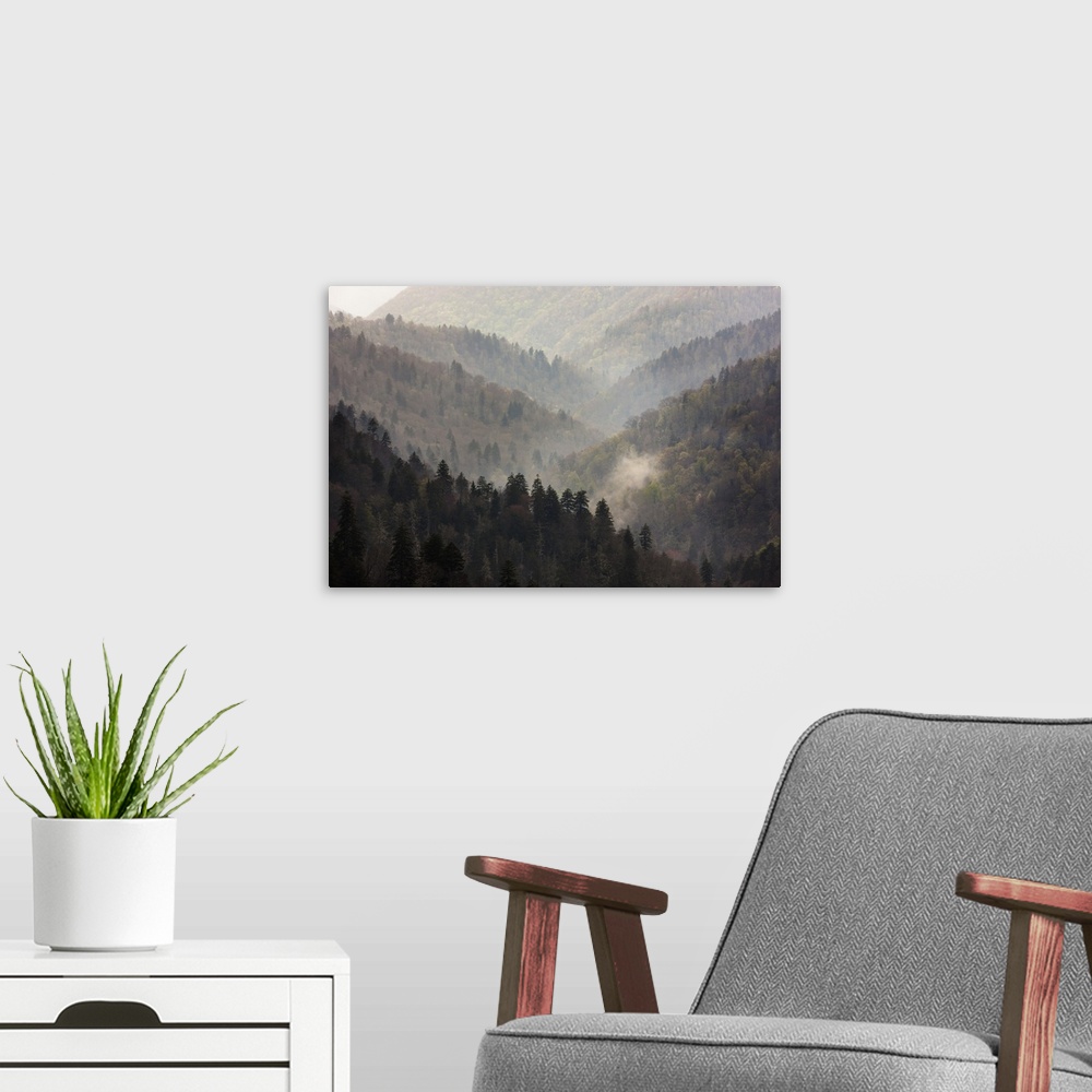A modern room featuring USA, Tennessee, Great Smoky Mountains National Park. Mist rises in a valley of tree-lined ridges.