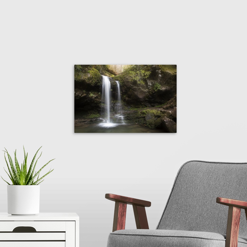 A modern room featuring USA, Tennessee, Great Smoky Mountains National Park. Grotto Falls scenic.