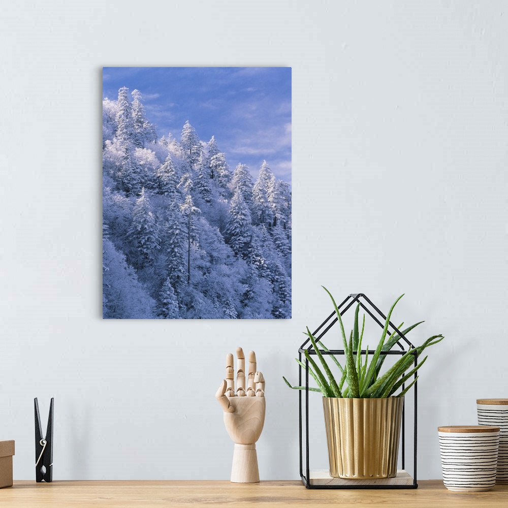 A bohemian room featuring Mountain slope covered with snow, Tennessee, Great Smoky Mountains National Park, Newfound Gap.