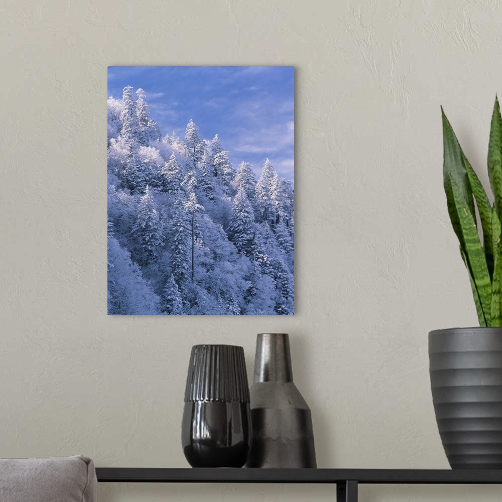 A modern room featuring Mountain slope covered with snow, Tennessee, Great Smoky Mountains National Park, Newfound Gap.