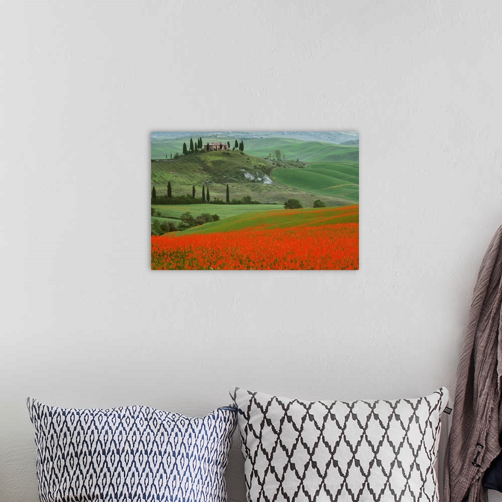 A bohemian room featuring Europe, Italy, Tuscany. The Belvedere villa landmark and farmland. Credit: Dennis Flaherty