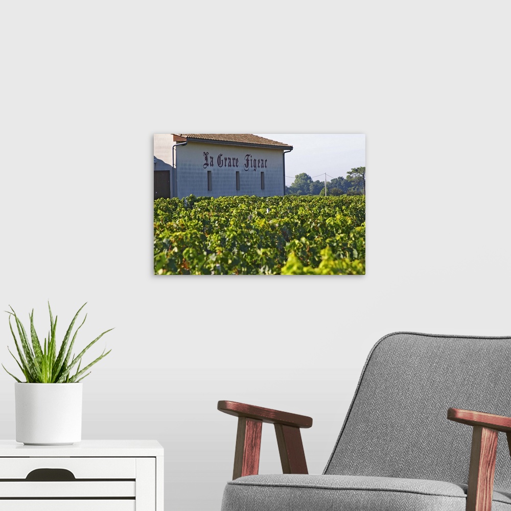 A modern room featuring The chateau, vineyard and winery  La Grave Figeac is just between Cheval Blanc and La Conseillant...