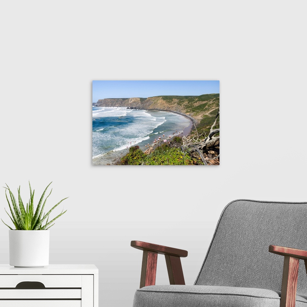 A modern room featuring Praia da Ponta Ruiva at the Costa Vicentina. The coast of the Algarve during spring. Europe, Sout...