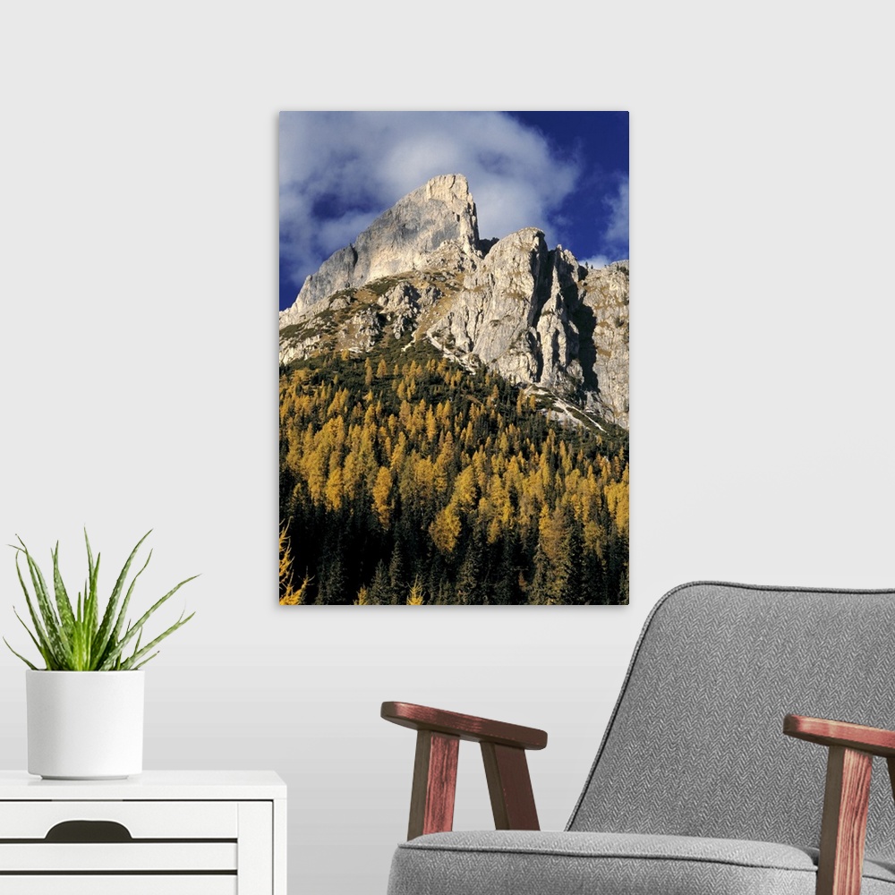 A modern room featuring Europe, Italy, Sella Mountains. The sharp crags of the Sella area of Italy's Dolomite Alps are fr...