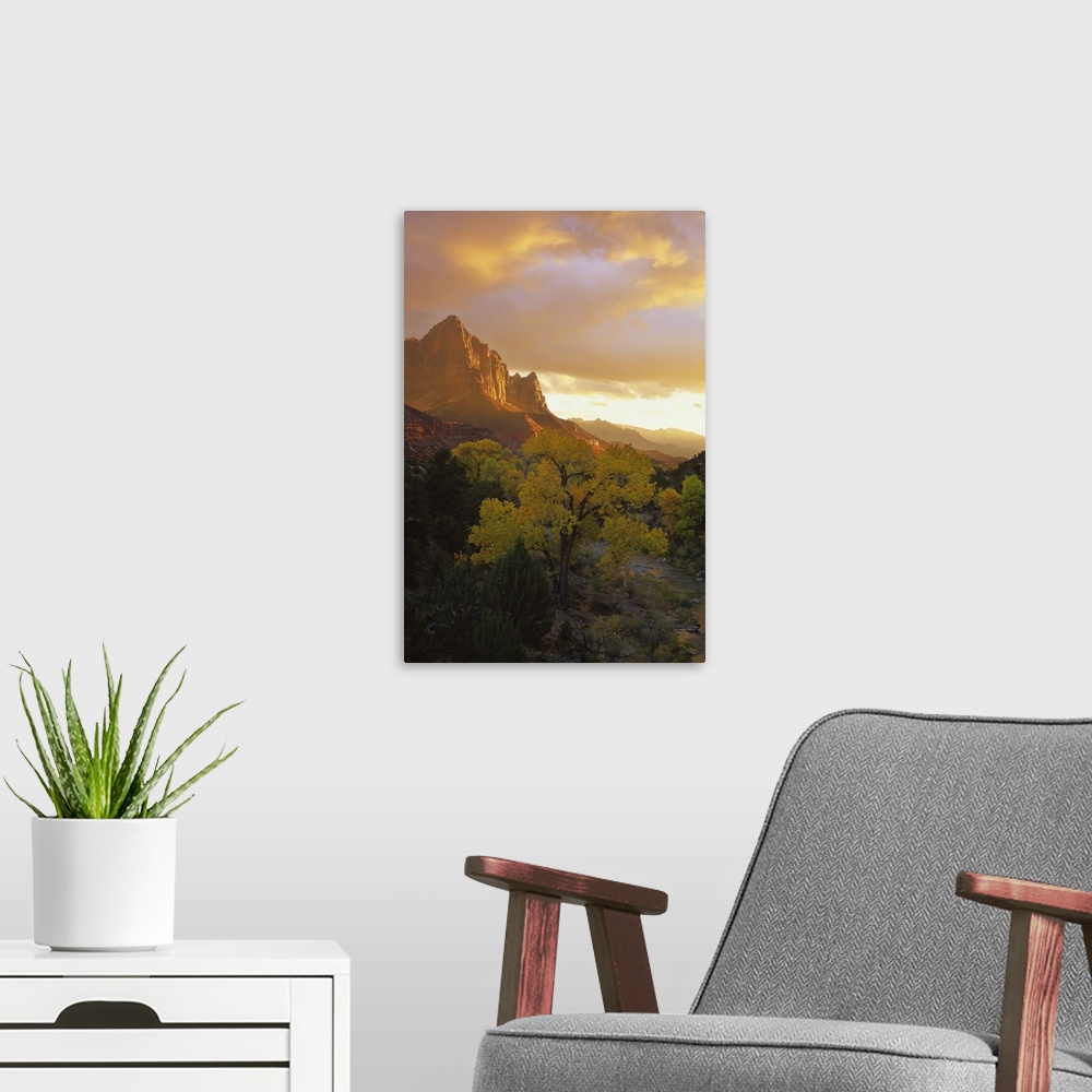 A modern room featuring USA, Utah, Zion National Park. The Watchman in the distance with Virgin River in foreground refle...