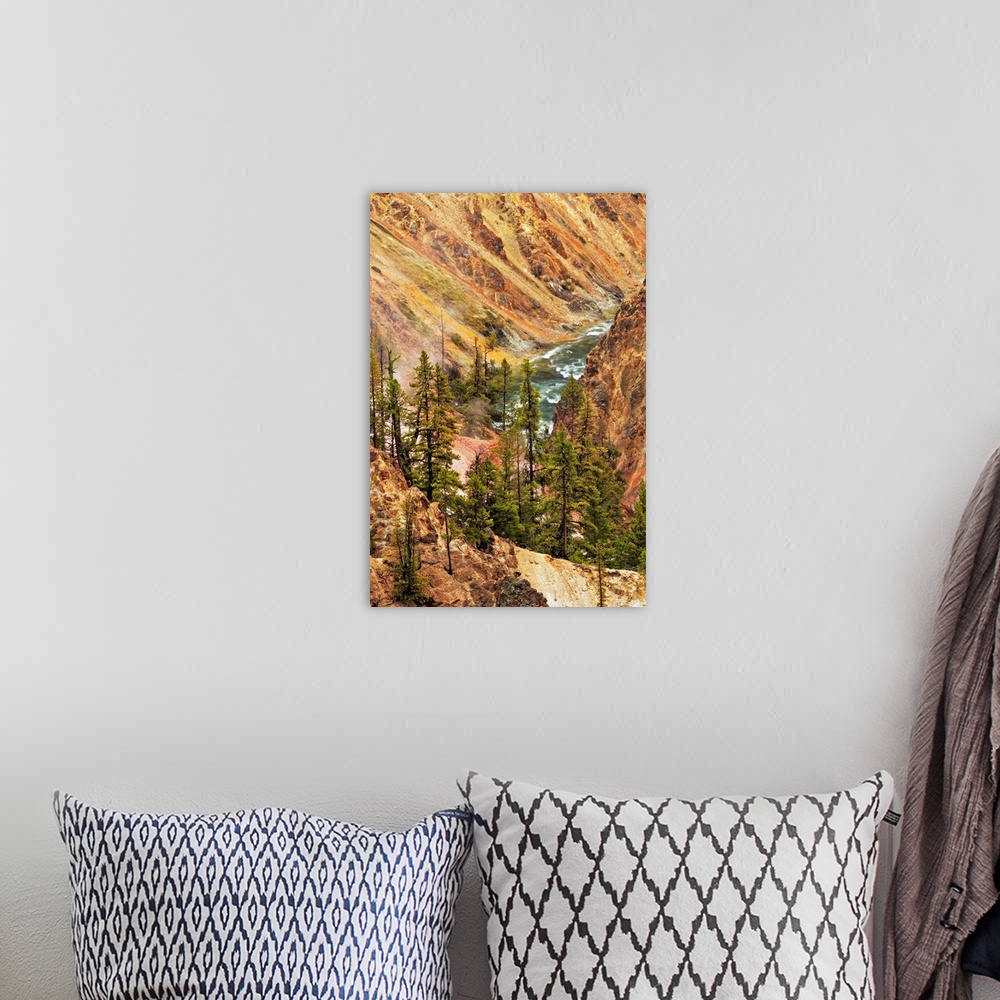 A bohemian room featuring Trees and colorful patterns on canyon walls, Grand Canyon of Yellowstone, Yellowstone National Pa...