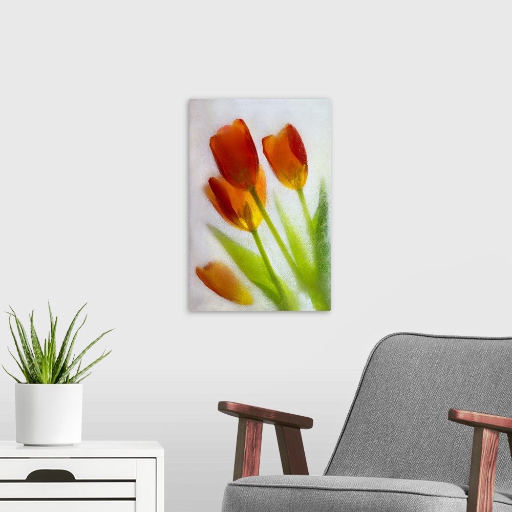 A modern room featuring Tulip in ice. Nature, Flora.
