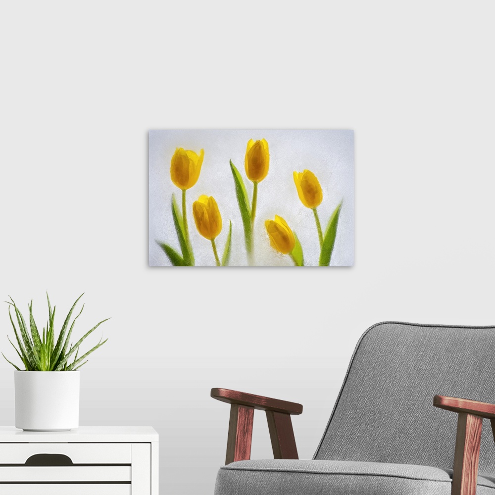 A modern room featuring Tulips in ice. Nature, Flora.