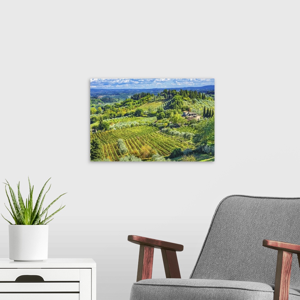 A modern room featuring Tuscan vineyard, San Gimignano, Tuscany, Italy.