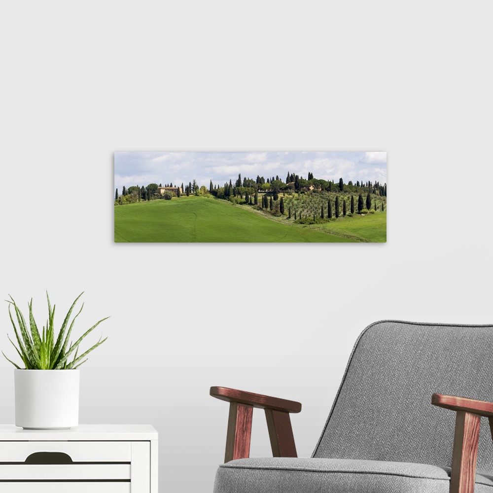 A modern room featuring Tuscany landscape with farm, cypress and olive trees. Tuscany, Italy.