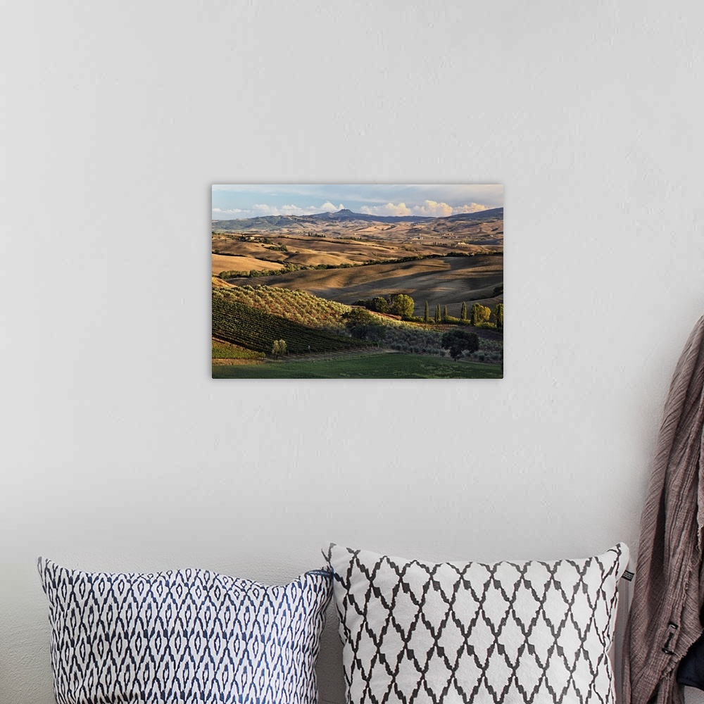 A bohemian room featuring Sunset light on rolling agricultural hills of Tuscany after the harvest, San Quirico d' Orcia