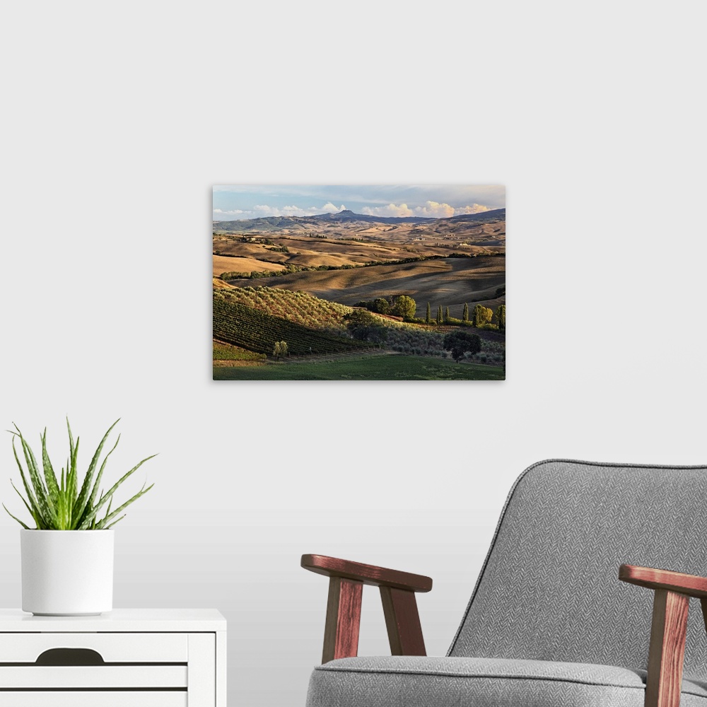 A modern room featuring Sunset light on rolling agricultural hills of Tuscany after the harvest, San Quirico d' Orcia