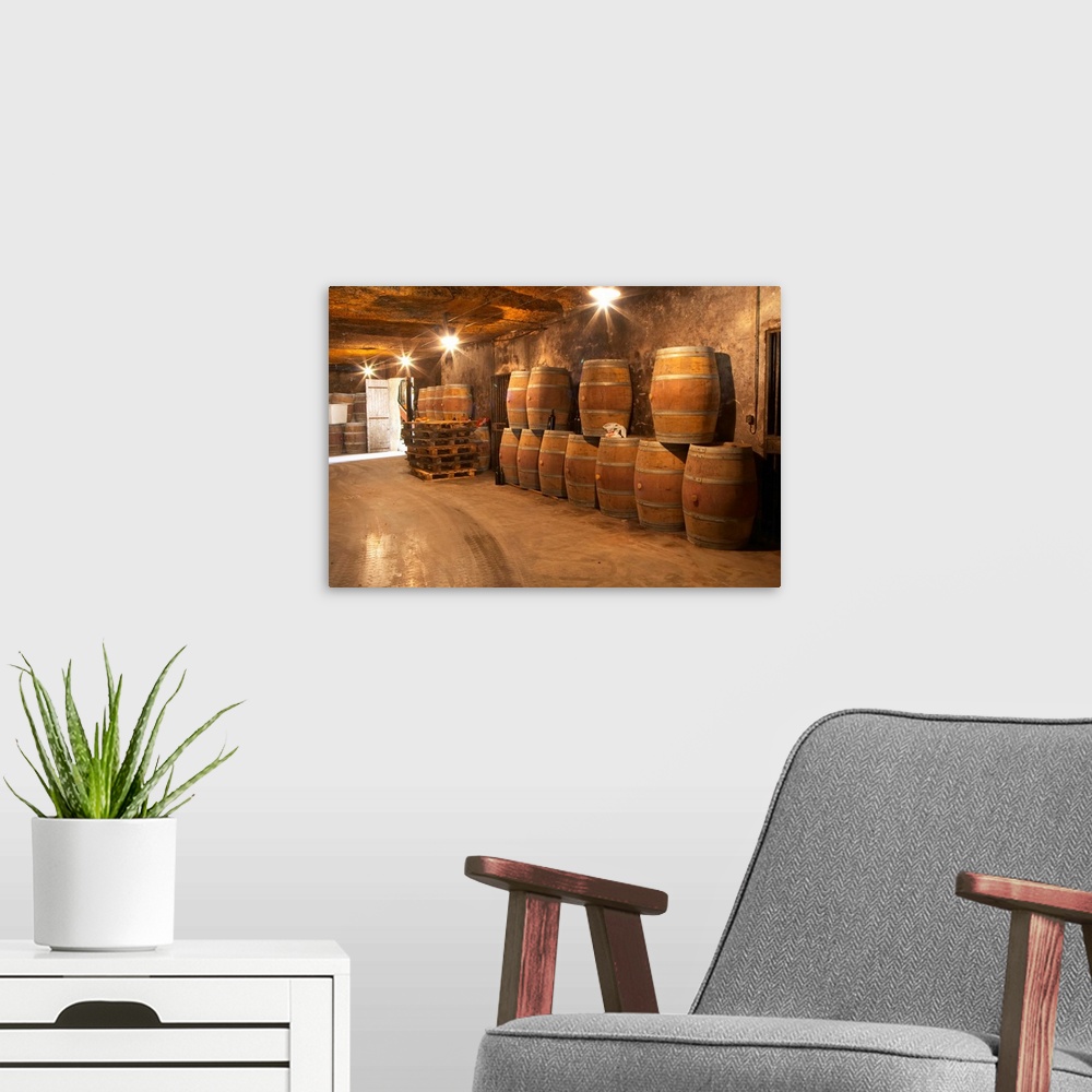 A modern room featuring The underground winery and cellar in an old stone quarry, empty oak barrels waiting to be filled ...
