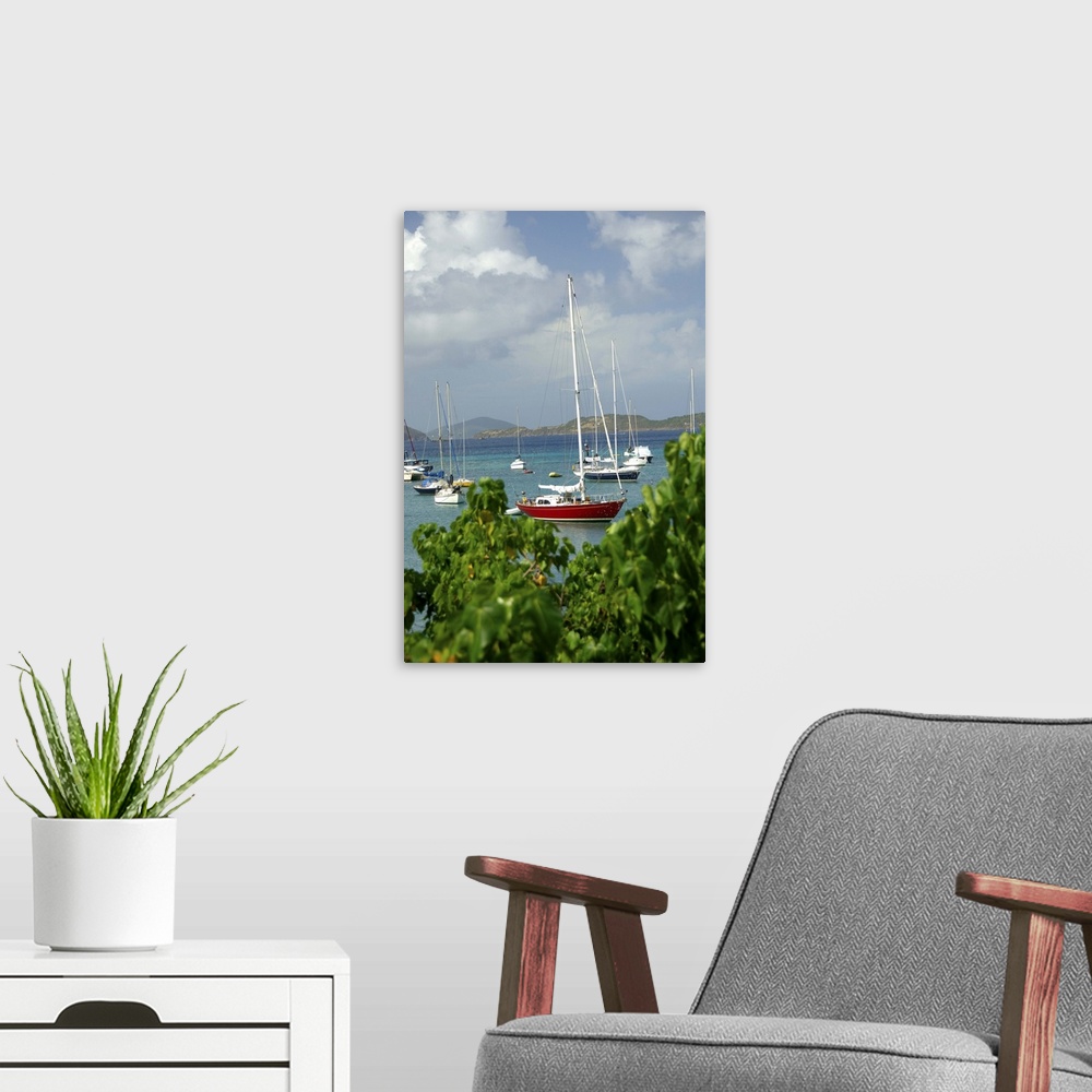 A modern room featuring Caribbean, U.S. Virgin Islands, St. John, Cruz Bay. Boats in the harbor at Cruz Bay.