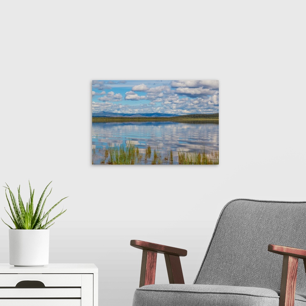 A modern room featuring USA, Alaska. Landscape with Quartz Lake.