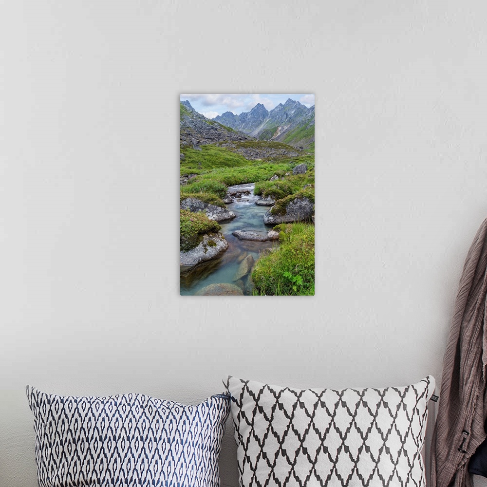A bohemian room featuring USA, Alaska, Talkeetna Mountains. Landscape with Archangel Creek.