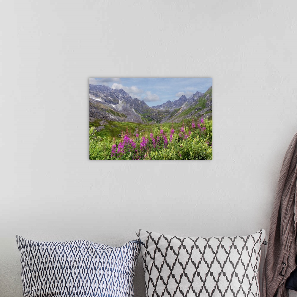 A bohemian room featuring USA, Alaska, Talkeetna Mountains. Mountain landscape with fireweed flowers.