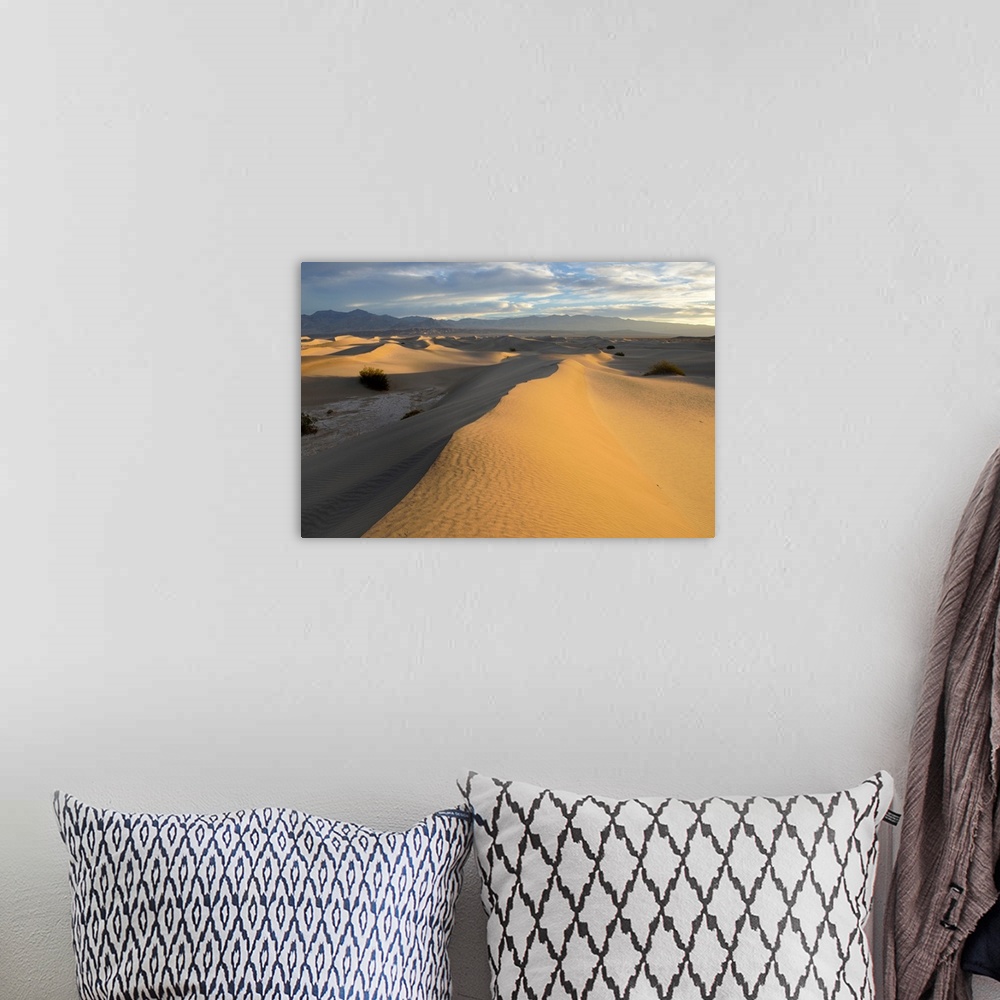 A bohemian room featuring USA, California, Death Valley, Mesquite Flat Sand Dunes at sunrise.