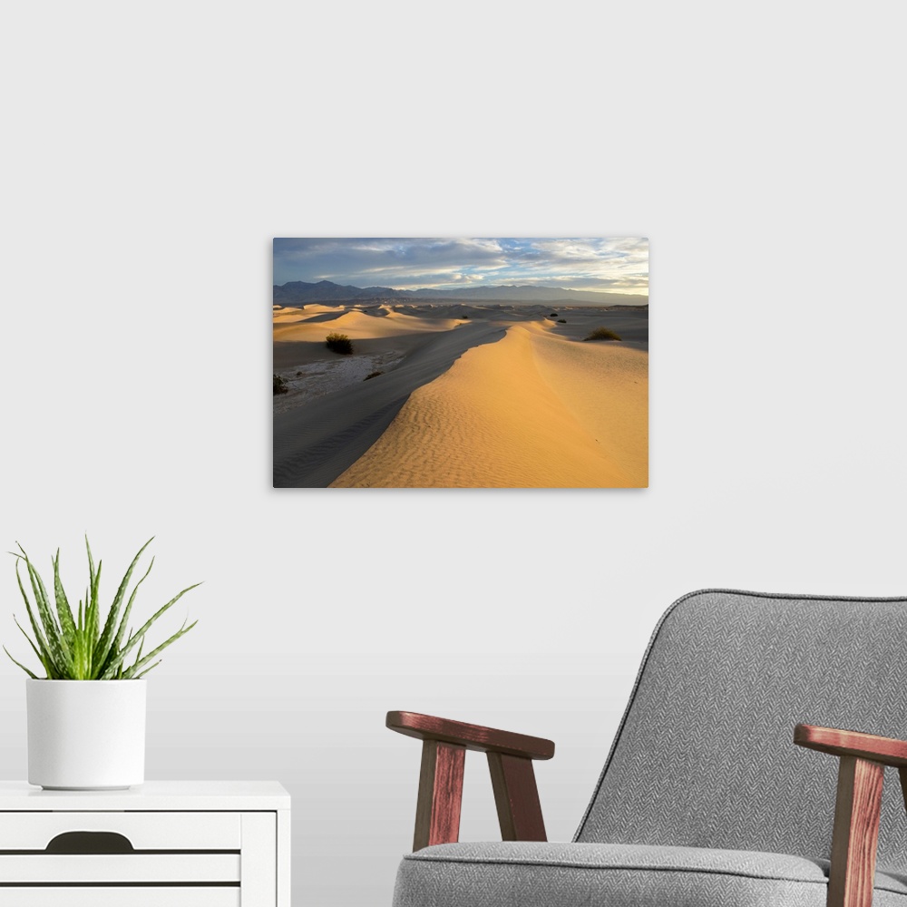 A modern room featuring USA, California, Death Valley, Mesquite Flat Sand Dunes at sunrise.