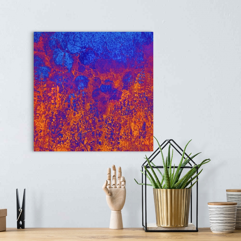 A bohemian room featuring USA, California, Redwood national park. Abstract of lupine flowers and tan oak in fog.