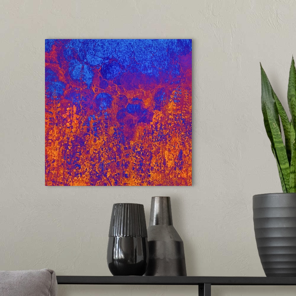A modern room featuring USA, California, Redwood national park. Abstract of lupine flowers and tan oak in fog.