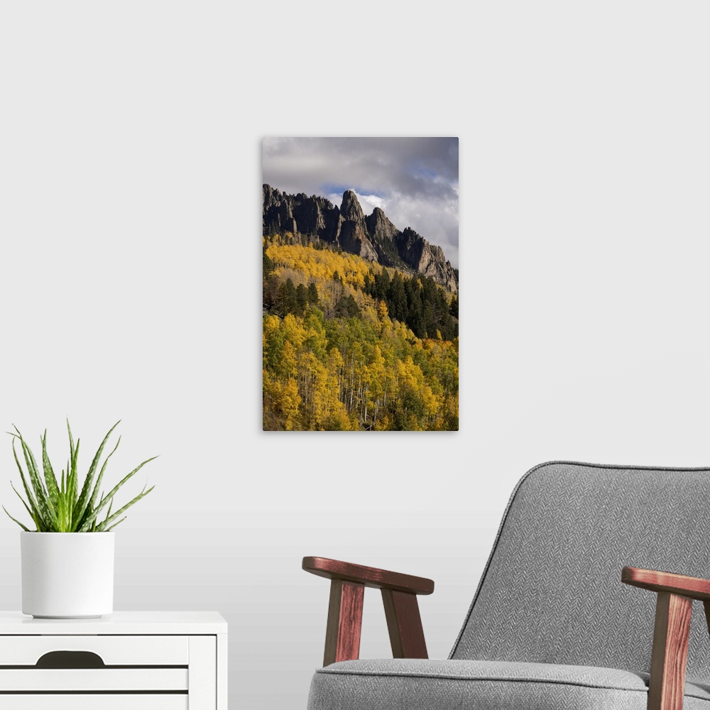 A modern room featuring USA, Colorado, Uncompahgre National Forest. Mountain and forest in autumn. United States, Colorado.