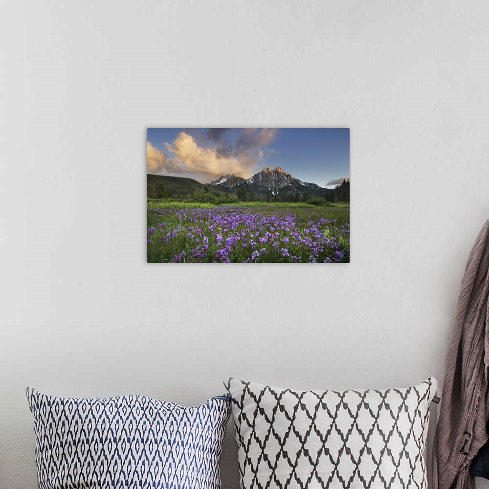 A bohemian room featuring USA, Idaho, Mcgown Peak Sawtooth Mountains