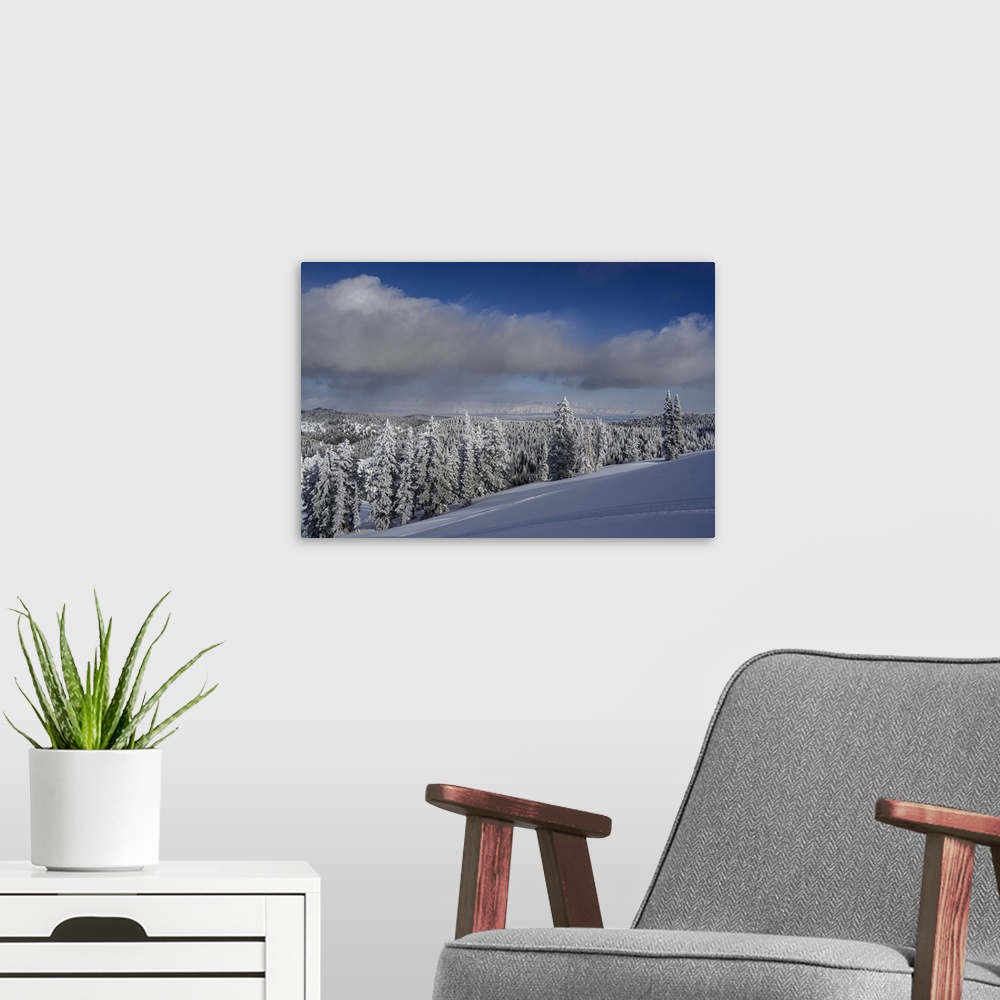 A modern room featuring USA, Idaho. Winter landscape near Bear Lake.