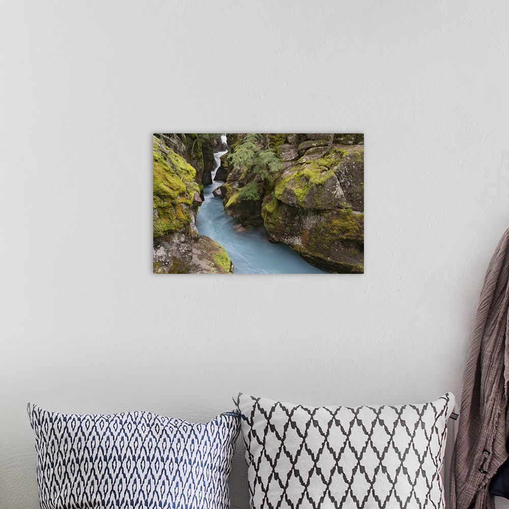 A bohemian room featuring USA, Montana, Glacier National Park. Glacial silt in Avalanche Creek flows through gorge. United ...