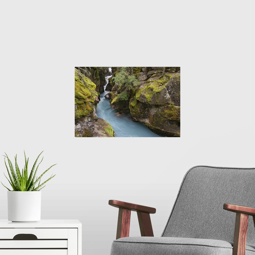 A modern room featuring USA, Montana, Glacier National Park. Glacial silt in Avalanche Creek flows through gorge. United ...