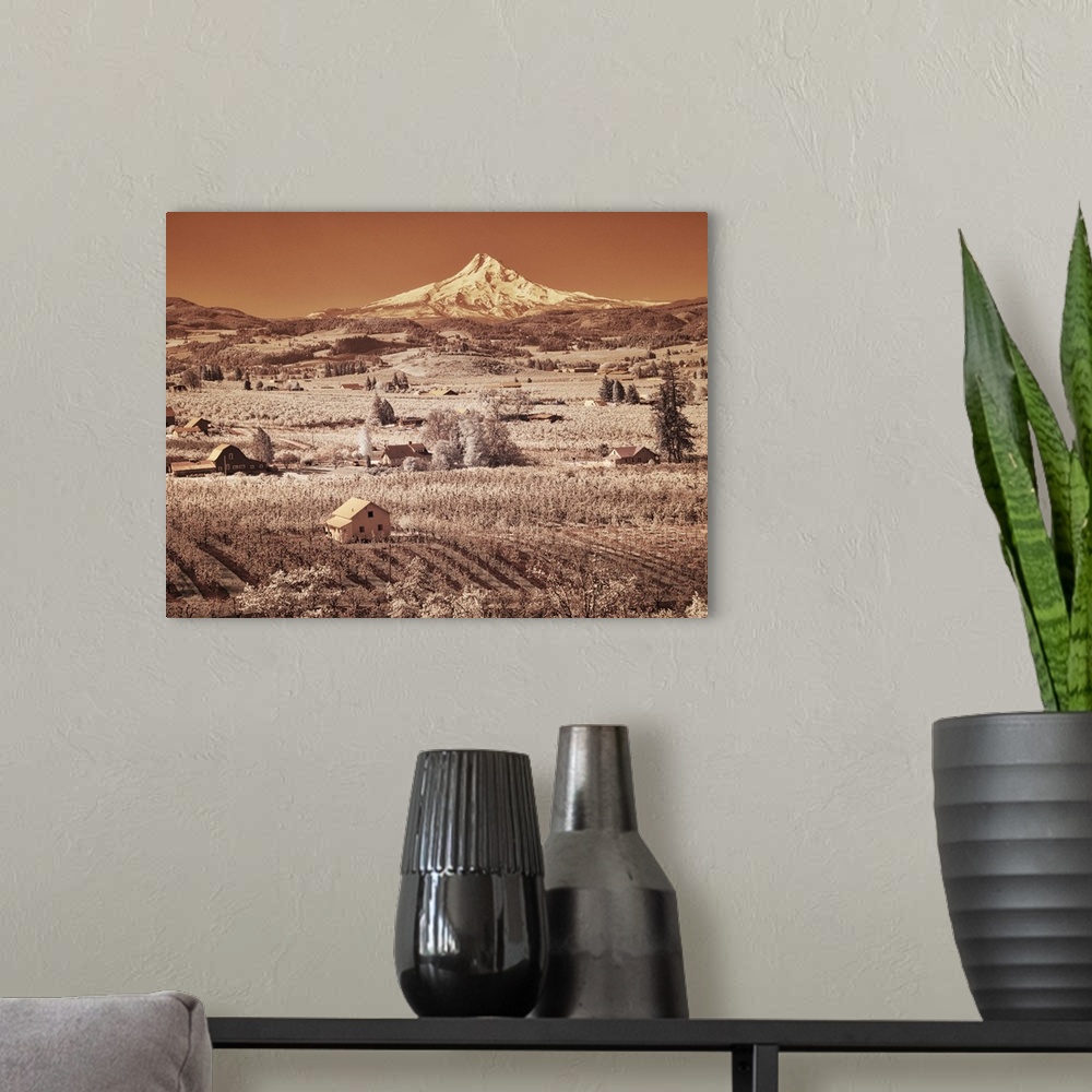 A modern room featuring USA, Oregon, Columbia Gorge. Infrared of spring orchards in bloom and Mount Hood. United States, ...