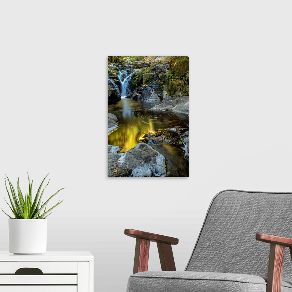 A modern room featuring USA, Oregon, Florence. Waterfall in stream.