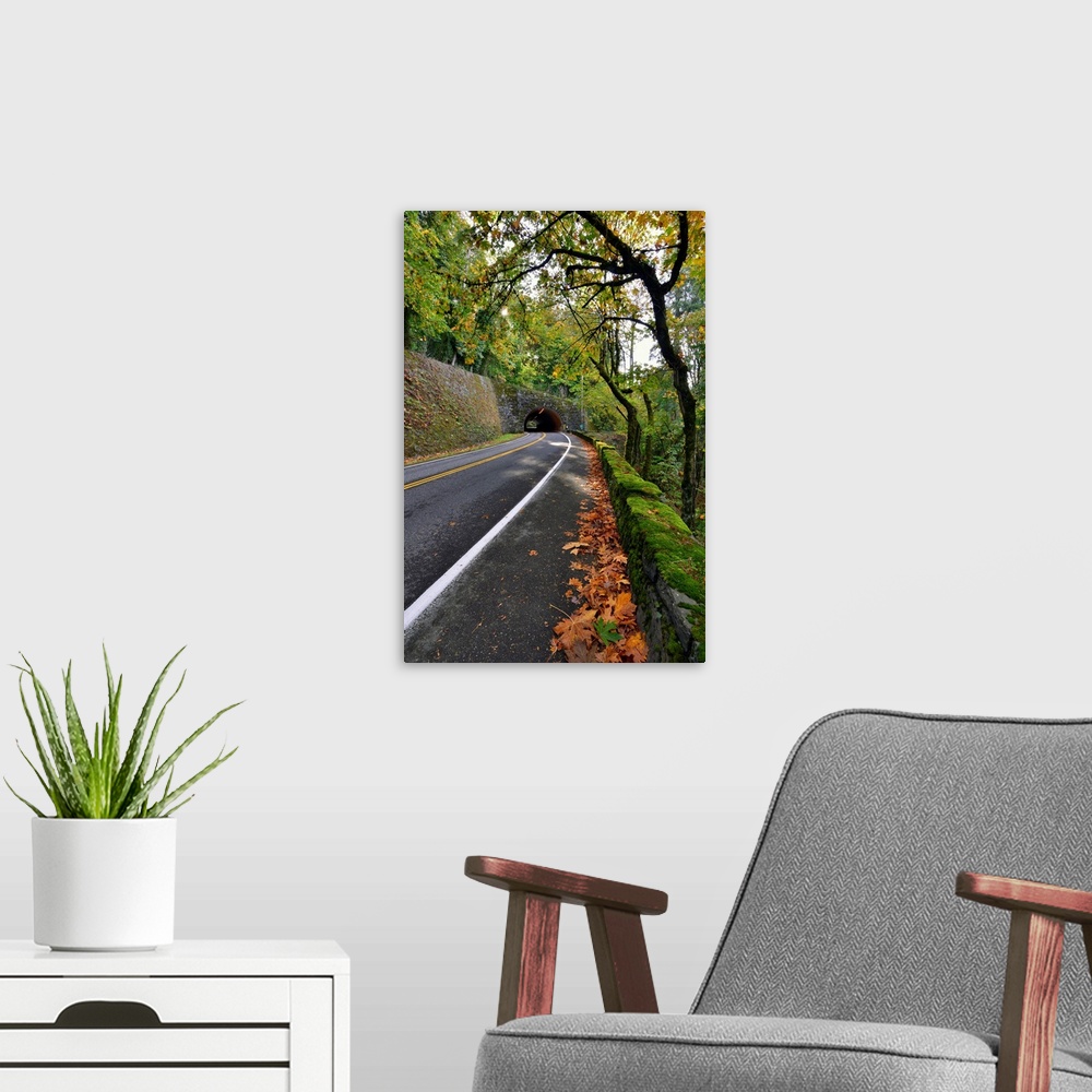 A modern room featuring USA, Oregon, Portland. Macleay Park and road in autumn.
