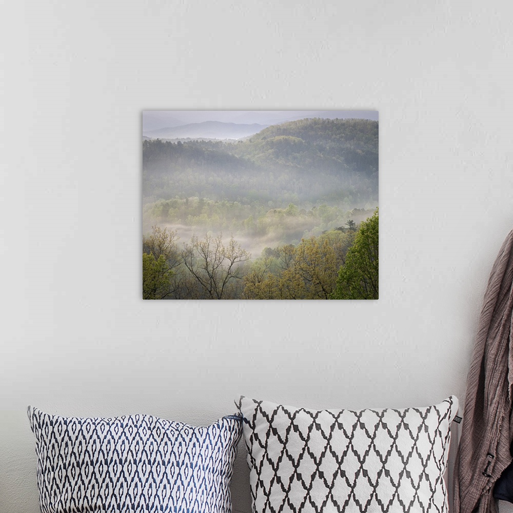 A bohemian room featuring USA, Tennessee, Smokey Mountains National Park. Sunrise mist on mountain forest.