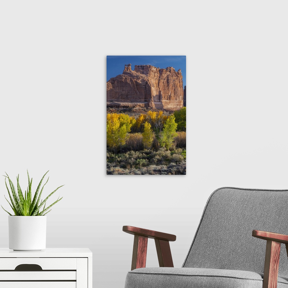 A modern room featuring USA, Utah. Autumn cottonwoods at sunset, Arches National Park.