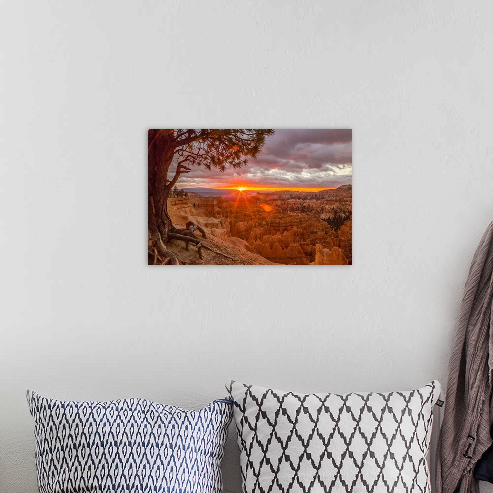 A bohemian room featuring USA, Utah, Bryce Canyon National Park. Sunrise on canyon.