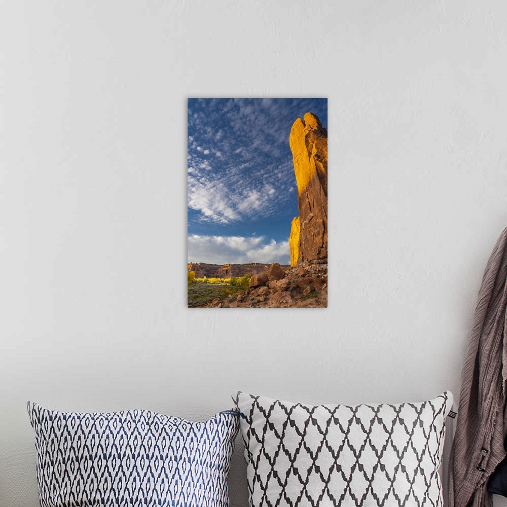A bohemian room featuring USA, Utah. Cliffs, clouds, and autumn cottonwoods at sunset, Arches National Park.