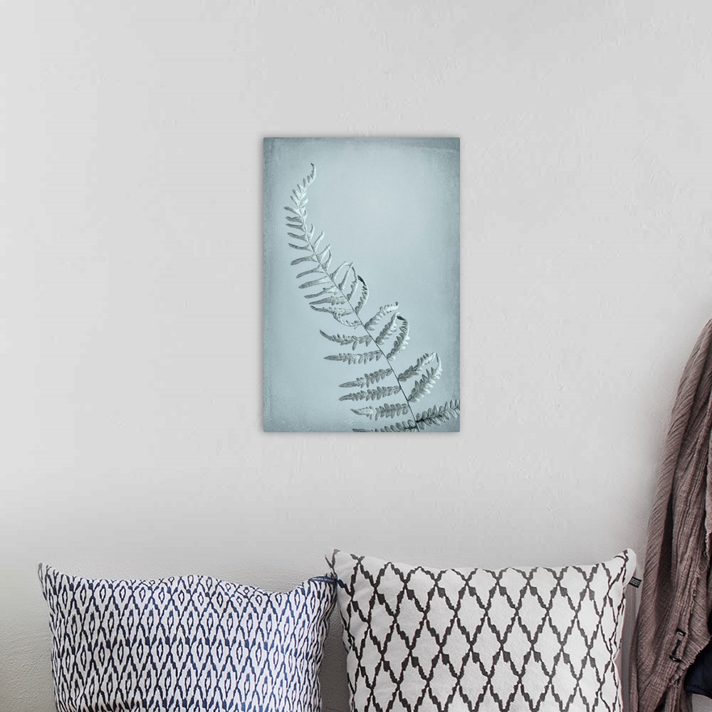 A bohemian room featuring USA, Washington, Seabeck. Bracken fern abstract.