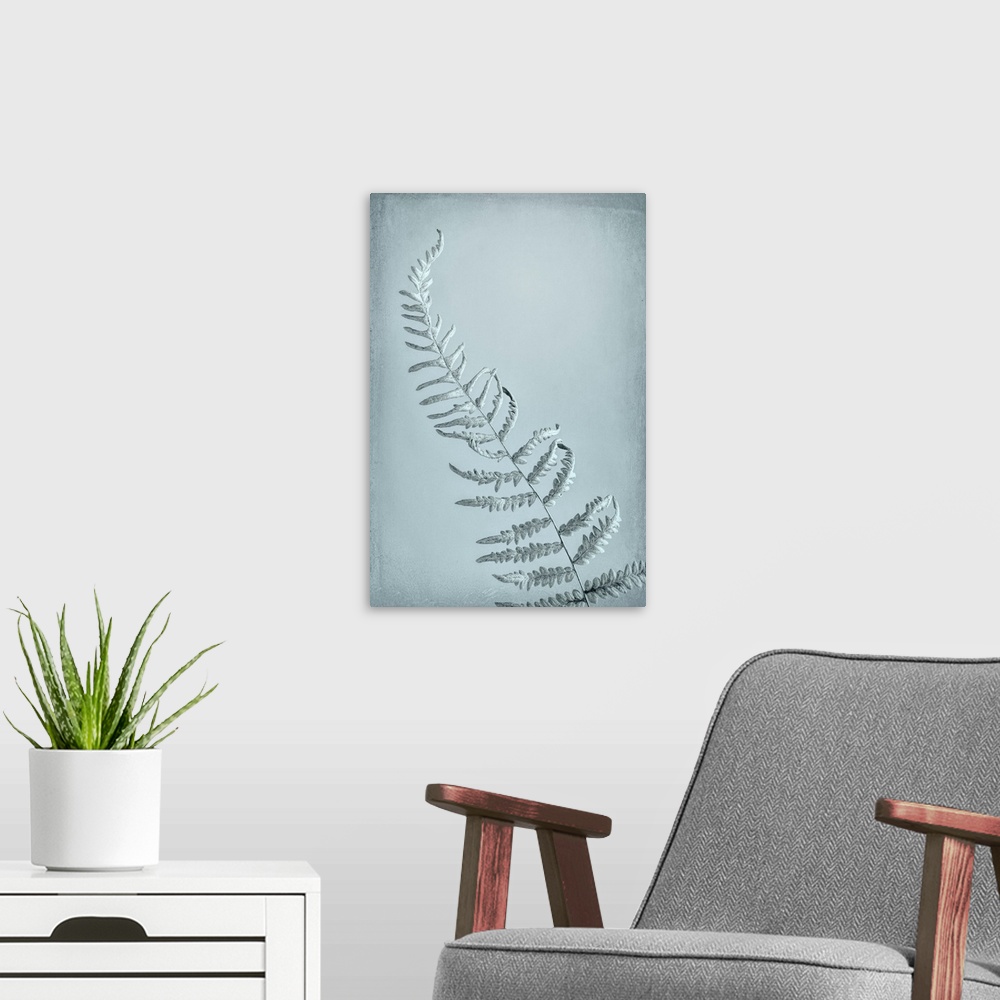 A modern room featuring USA, Washington, Seabeck. Bracken fern abstract.