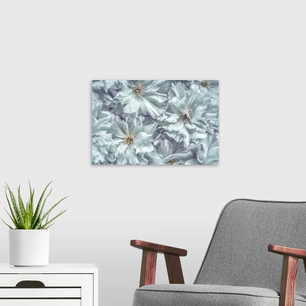 A modern room featuring USA, Washington, Seabeck. Cherry blossoms abstract.