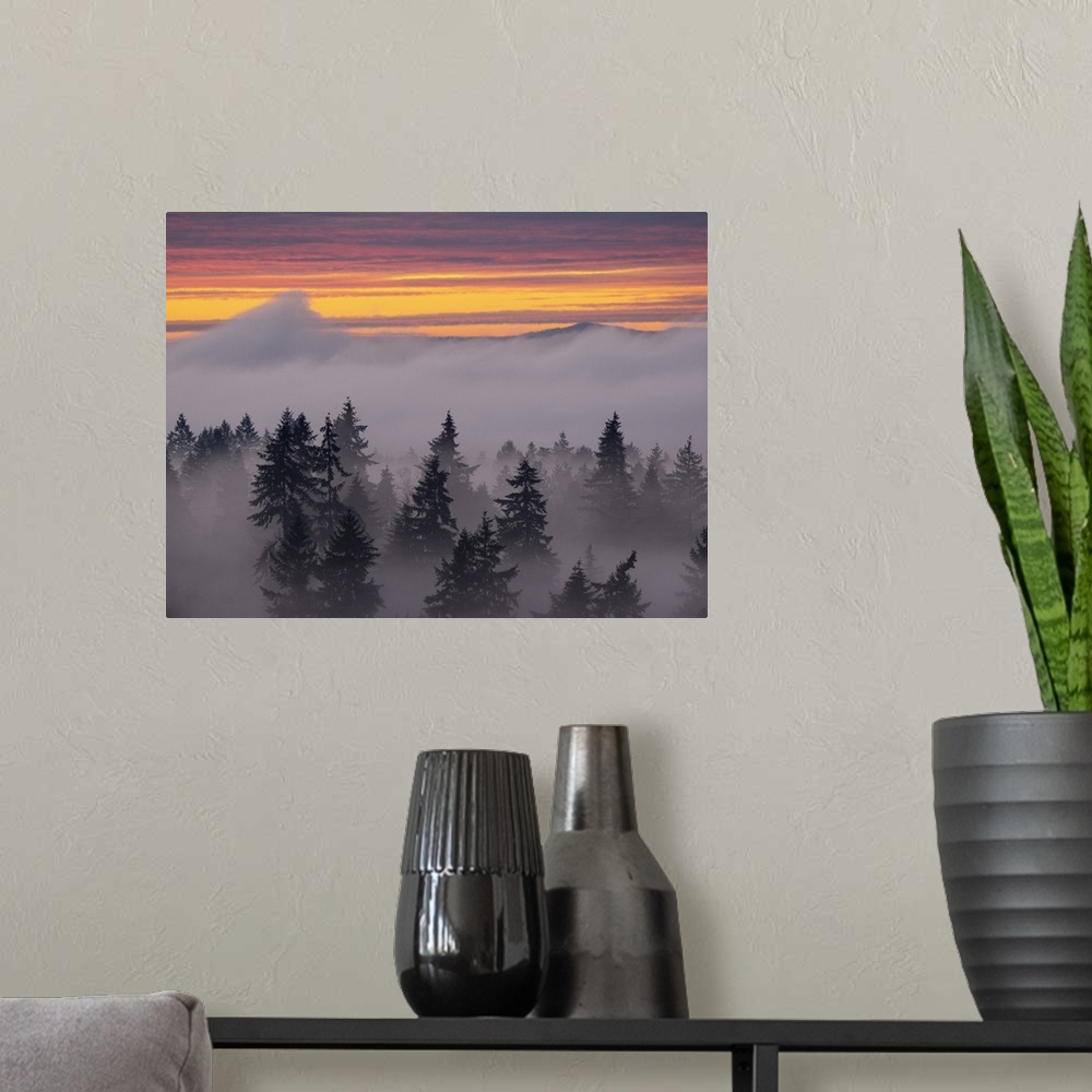 A modern room featuring Usa, Washington State, Bellevue. Douglas Fir trees in swirling clouds at sunset.
