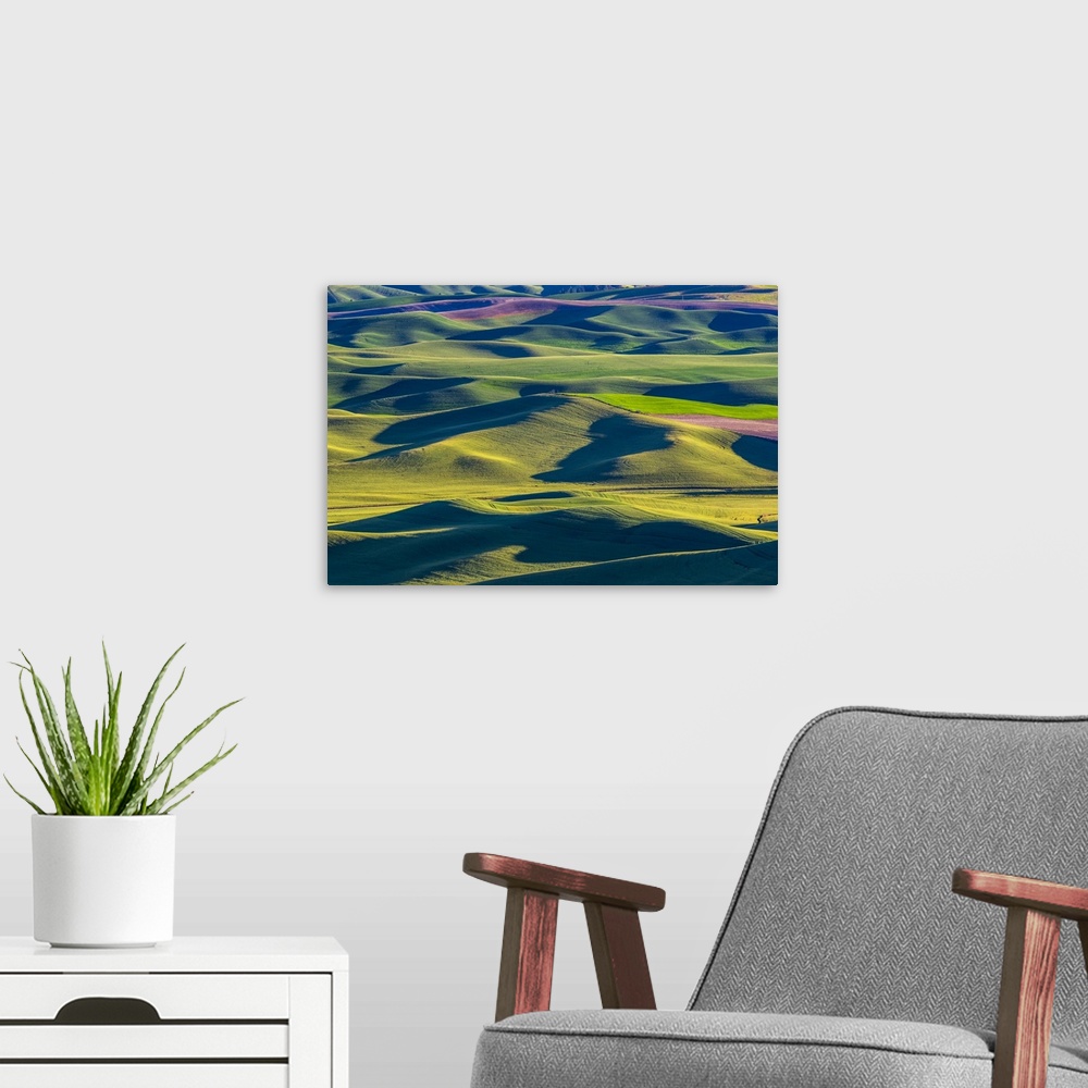 A modern room featuring USA, Washington State, Palouse and Steptoe Butte State Park view of Wheat and Canola. United Stat...