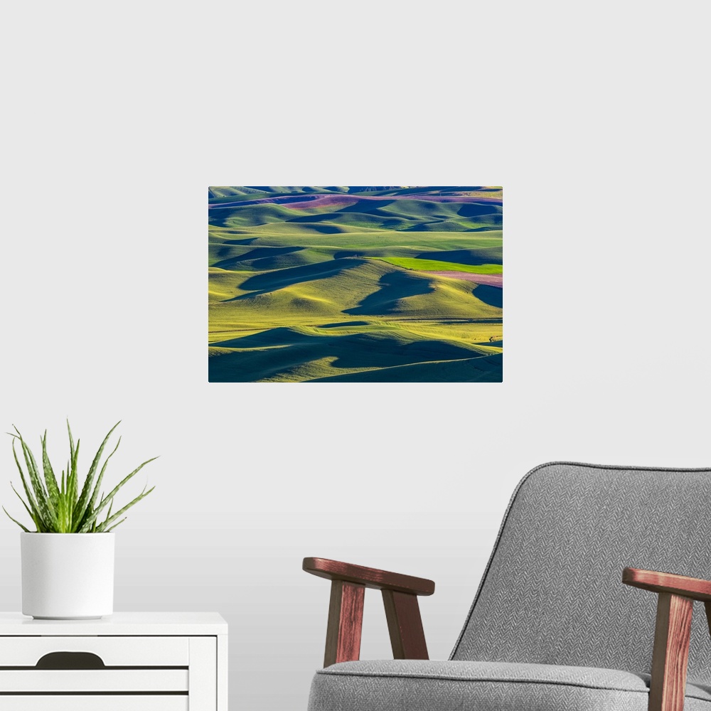 A modern room featuring USA, Washington State, Palouse and Steptoe Butte State Park view of Wheat and Canola. United Stat...