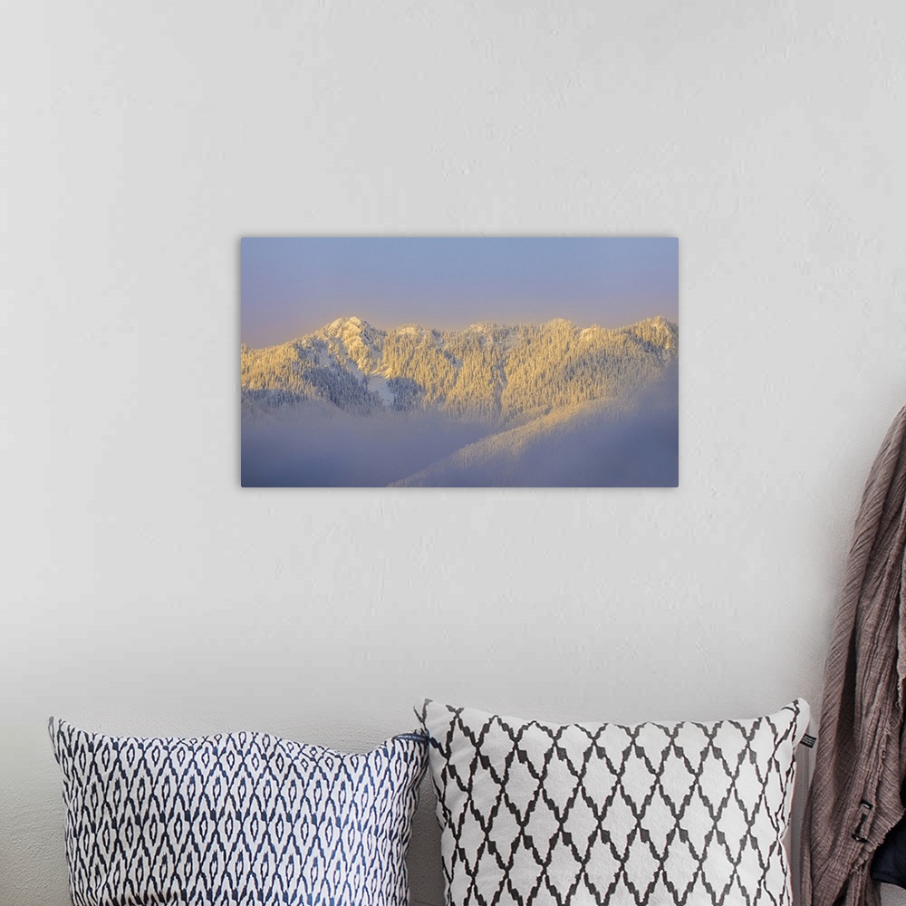 A bohemian room featuring USA, Washington State, Sunrise On Snow-Covered Mountains In Olympic National Forest