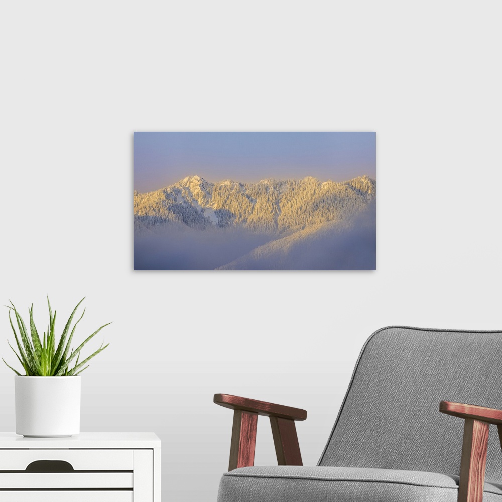 A modern room featuring USA, Washington State, Sunrise On Snow-Covered Mountains In Olympic National Forest